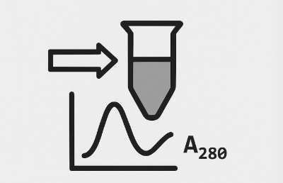 Protein Concentration A280 Icon