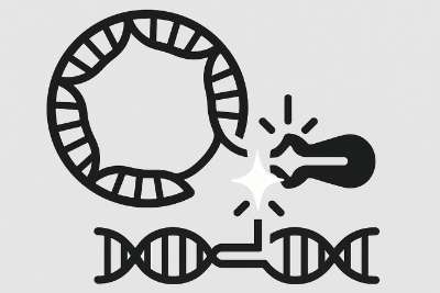 Ligation Calculator Icon