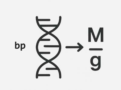 DNA/RNA Molarity & Mass Converter Icon
